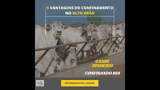 5 vantagens do confinamento no alto grão [upl. by Maryl]