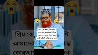 bangladesh allah ialam foryou sikder07official [upl. by Atteynad]