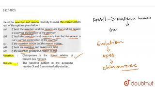 Assertion  Most evolutionary trees place information about the pattern of relationship among [upl. by Annice658]