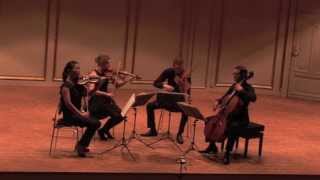 Galatea Quartet Dvorak Cypresses for string quartet [upl. by Maretz]