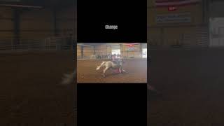 Change horse palomino horseenthusiast equestrian barrelracing mare [upl. by Natsirk]