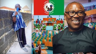 They used Peter Obi House of Representatives members used Peter Obi as ladder and then dump [upl. by Cardinal]