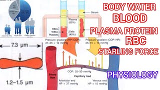 Body water blood❤️ plasma protein RBC Sterling force [upl. by Hanimay]