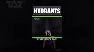 Get Those Glutes really working with the Hydrants  Resistance Bands [upl. by Aleron691]