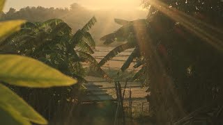 peaceful life  Fujifilm XH2  Cinematic  Philippines [upl. by Karine]