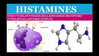 Histamines synthesis structure moa classificationofhistaminereceptors adr in Hinglish [upl. by Akehs285]