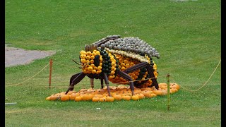 Blühendes Barock Ludwigsburg Kürbisausstellung [upl. by Joly]