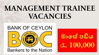 Bank of Ceylon management trainee vacancies  2024 [upl. by Thorfinn380]