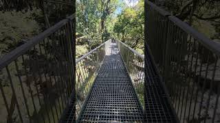 Mossman Gorge mossmangorge rainforest travel adventure northqueensland [upl. by Nalro18]