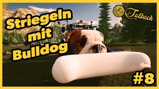 Striegeln mit BULLDOG  LS22  TALBACH  Folge 8 [upl. by Aracat982]