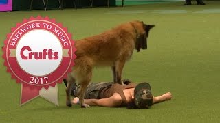 Heelwork To Music  International Freestyle Competition Part 13  Crufts 2017 [upl. by Ardath]