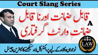 Slang  Practical Explanation of Bailable amp Non Bailable Warrant UrduHindi [upl. by Barnett161]