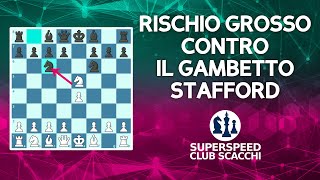 RISCHIO GROSSO contro il Gambetto Stafford [upl. by Arihday762]