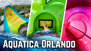 All Rides at Aquatica Orlando 2022 POV  Water Slides [upl. by Wilde]