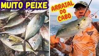 PEIXE em TODAS as ISCAS  JIG HEAD JUMPING JIG PLUG DE MEIA AGUA PESCARIA em ARRAIAL do CABO RJ [upl. by Marris]