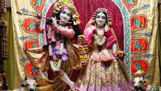 Vrindavan Iskcon temple live darshan today [upl. by Akirehc]