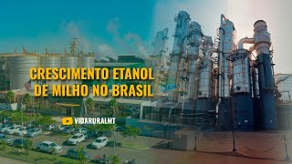 CRESCIMENTO DO ETANOL DE MILHO NO BRASIL [upl. by Eineeuq625]