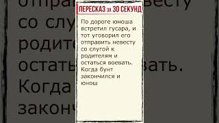 Капитанская дочка Глава 13 Пересказ за 30 секунд shorts [upl. by Ib]