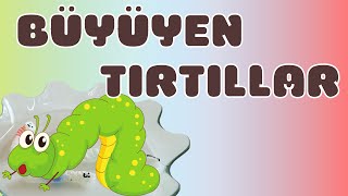 Büyüyen Tırtıllar  Okul Öncesi Etkinlik [upl. by Eno]