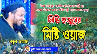 মুফতি বদরুর রেজা সেলিম। উত্তর চরহামুয়া মধ্যগাঁও আ’লা হযরত সুন্নী যুব সংঘহবিগঞ্জ। Habiganj Media [upl. by Coffey]