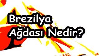 Brezilya Ağdası Nedir [upl. by Robina666]