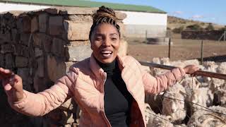 African Farming Season 2 Episode 5 Mandla and Johnson Mandlendoda FULL EPISODE [upl. by Sirovaj672]