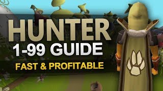 OSRS 199 Hunter Guide [upl. by Akimaj489]