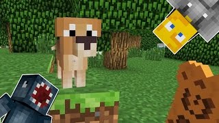 Minecraft  Boss Battles  My Own Doggy 29 [upl. by Adniram]