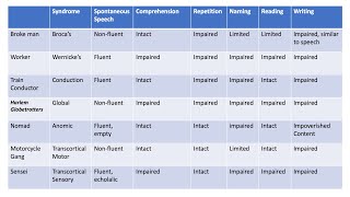 ABPPCN Aphasia Syndromes [upl. by Duke]