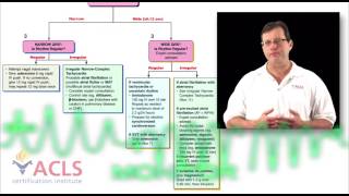 Tachycardia Review by ACLS Certification Institute [upl. by Jordison]