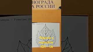 Подвой Riparia x Rupestris 10114 Один из самых распространённых подвоев привитого виноградва [upl. by Kariotta]