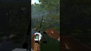 Fishing planet game PC how to catch a green frog easily 🙂 [upl. by Emrich]