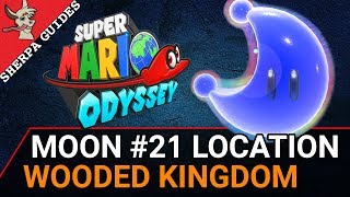 Wooded Kingdom Moon 21 Love in the Forest Ruins Location  Super Mario Odyssey [upl. by Ysac]