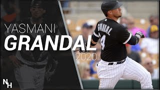 Yasmani Grandal 2020 Highlights [upl. by Artemas]