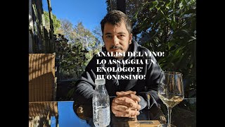 COME FARE IL VINO BIANCO FERMO IN CASA EP 5 ANALISI DEL VINO LO ASSAGGIAMO ASSIEME E BUONISSIMO [upl. by Cutty]