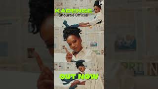 Shourtie Official  Kadenge Out Now [upl. by Bergren314]