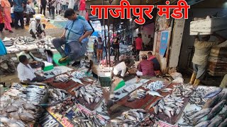 Gazipur fish mandi rate today 2024  Gazipur Machhali Mandi fish market Delhi NCR wholesale [upl. by Yssep]