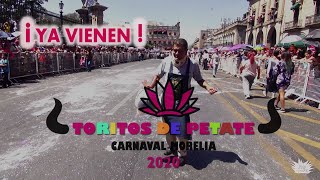 ¡Ya Vienen TORITOS DE PETATE 2020 Carnaval Morelia [upl. by Squire]