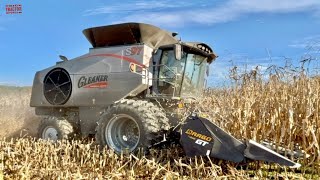 GLEANER S97 Combine Harvesting Corn [upl. by Johanan]