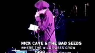 Nick Cave amp Blixa Bargeld  Where the Wild Roses Grow Live 1998 [upl. by Nymrak]