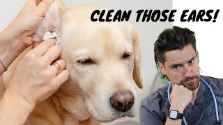 Walmart Medicated Dog Ear Cleaner [upl. by Essiralc177]