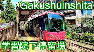 都電荒川線 学習院下停留場 Gakushuinshita stop Toden Arakawa Line Tokyo Sakura Tram [upl. by Engapmahc355]