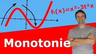 Monotonieverhalten von Funktionsschar  Wann monoton fallendsteigend  AufgabeLösung  LehrerBros [upl. by Rustice96]