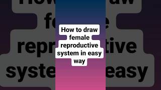 diagram of female reproductive system easydiagram shorts art viralvideo [upl. by Waylen553]