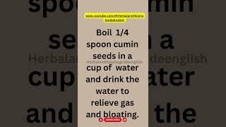 Cumin Seed Tea Natural Relief for Gas and Bloating ytshortsfeedshorts viralshort [upl. by Ancier422]