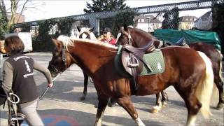 Equitana 2011  Rundgang  Haarmode bei Pferden   Der Zopf ist in [upl. by Roskes]