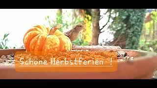 Schöne Herbstferien [upl. by Ettellocin]