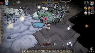 Dont Starve Together 07 20241020 [upl. by Etteragram]