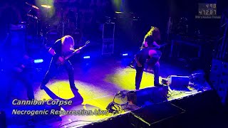 Cannibal Corpse  Necrogenic Resurrection Live  Geiselwind 2023 [upl. by Lily151]