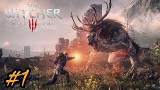 ŘEZNÍK Z BLAVIKENU   Zaklínač 3  Divoký Hon 1 ps5 czletsplay thewitcher3wildhunt [upl. by Brant]